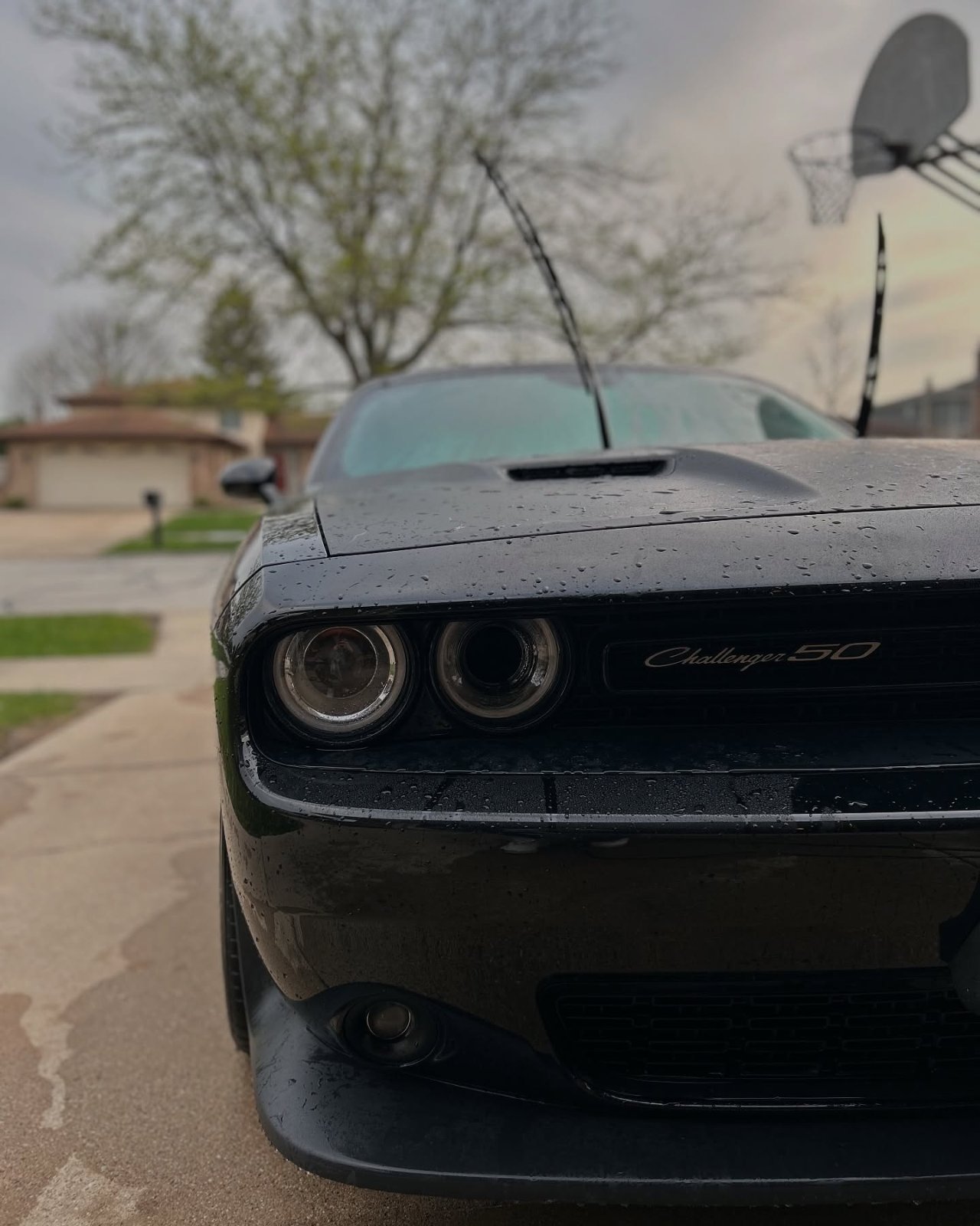 Blacked-out Dodge Challenger with beaded water on glossy paint after detailing in Orland Park