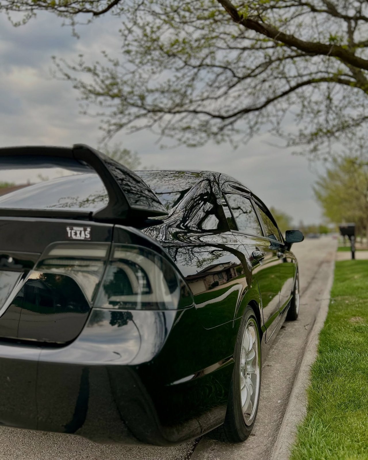 Honda Civic with ceramic window tint and rear wing